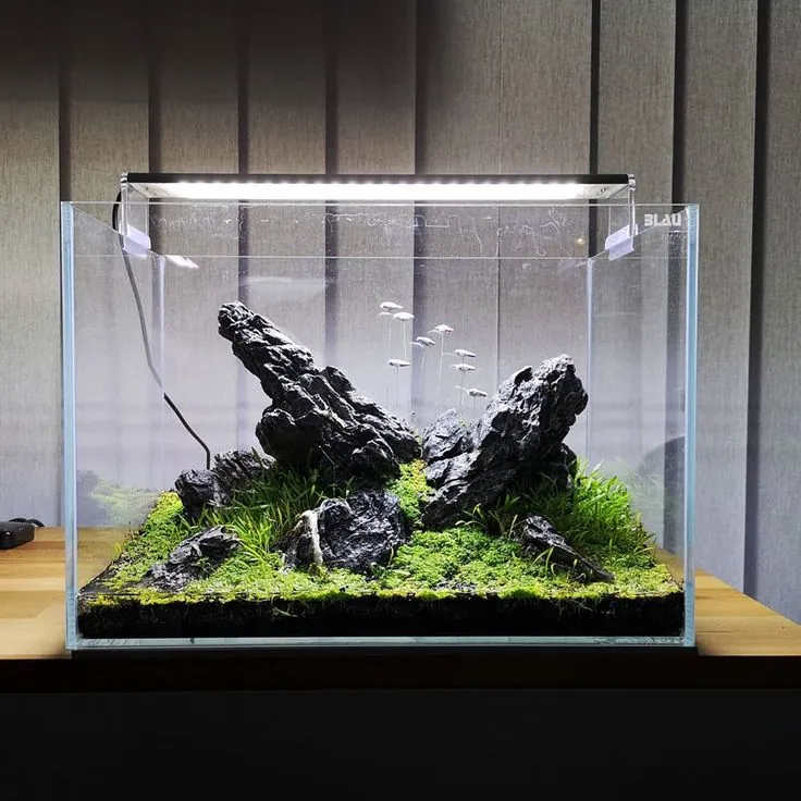 Iwagumi aquascape sa nekoliko oštrih tamnih stena i niskim zelenim tepihom