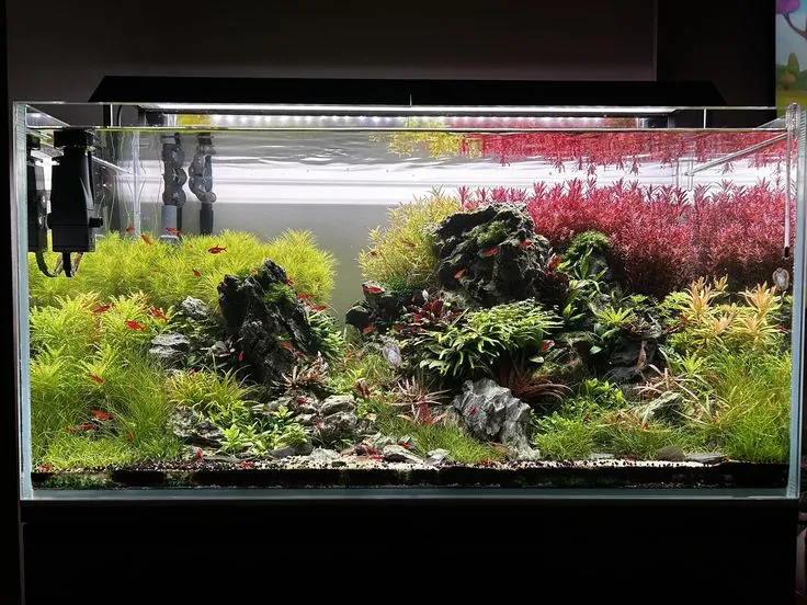 Aquascape u Nature stilu sa tamnim stenama, zelenim biljnim tepihom i crvenim biljkama u pozadini